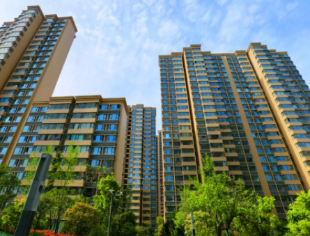 這個項目榮獲省市雙項榮譽......