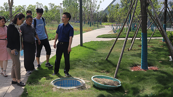 IMG_5782.JPG IMG_5782.JPG